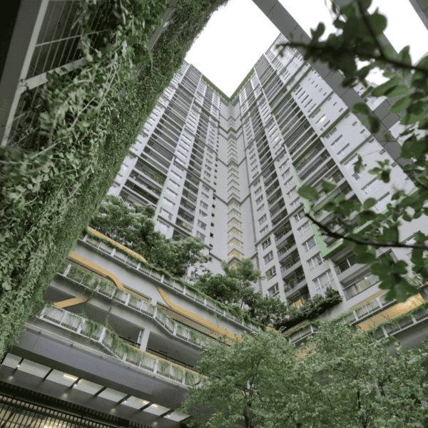 Seasons Avenue